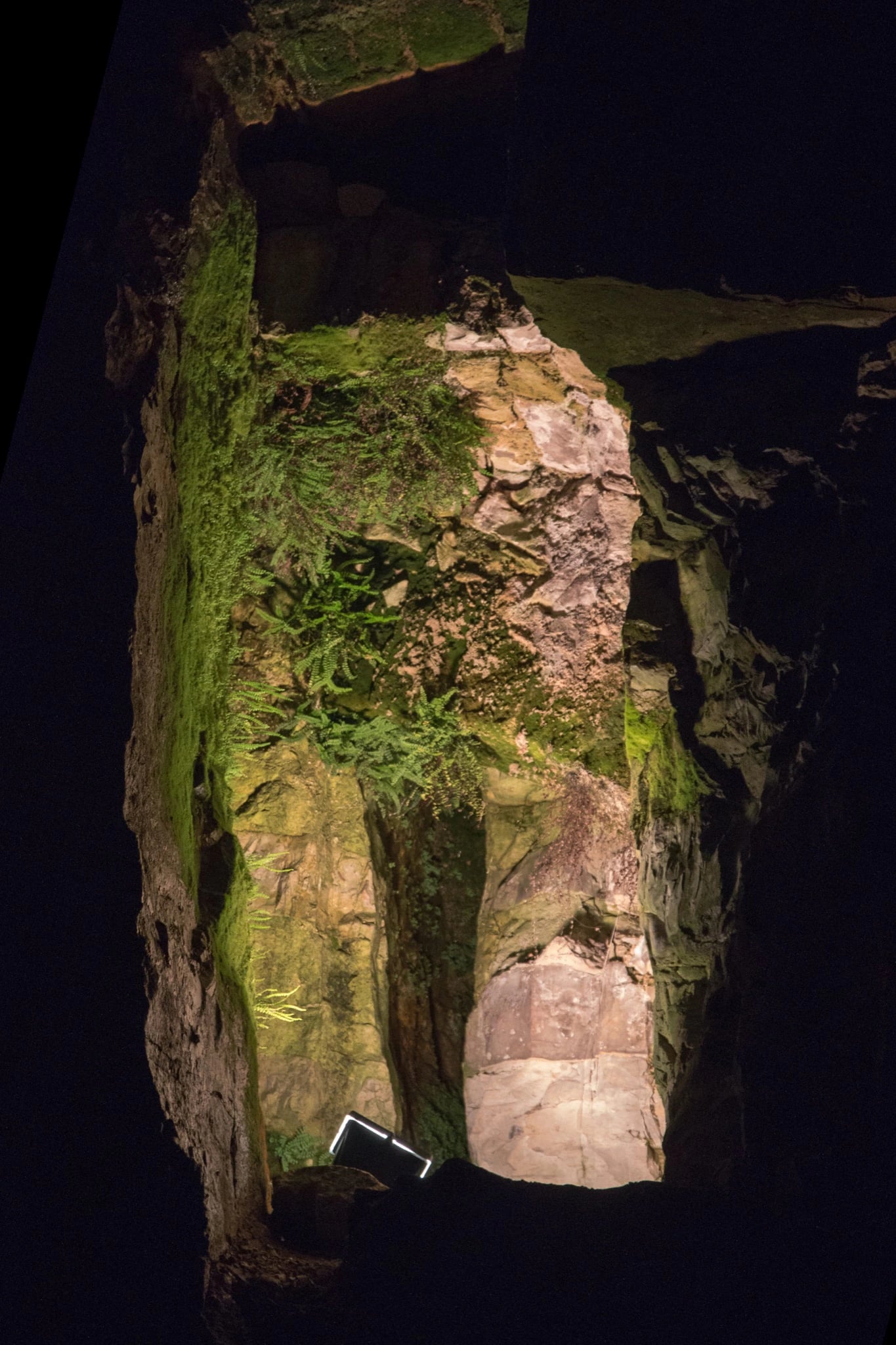 A tall, narrow fissure in pale limestone, lit from below inside an otherwise dark cave. Ferns and green moss grow in bands down the wet rock face, the crack narrows into blackness towards the top, and a small light fitting sits on the rubble at its foot.