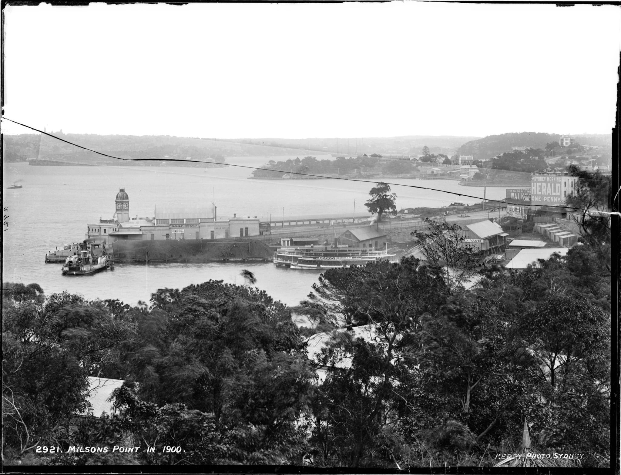 A black and white photograph of a busy harbour wharf. Two funnelled passenger ferries and a broad paddle vehicular ferry lie against timber jetties, with crowds of people in hats moving along the wharf and a horse-drawn cart at the water's edge. Wooded slopes and low buildings rise behind.