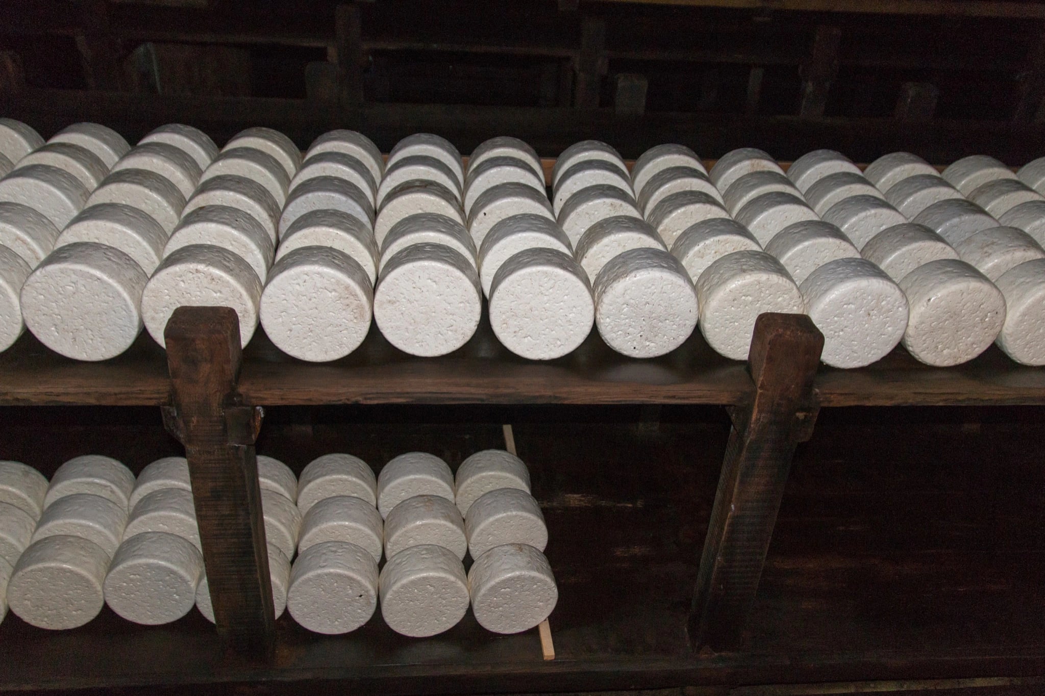 Rows of pale, cylindrical cheeses lying on their sides on two tiers of heavy dark wooden boards in a dim cellar, receding into shadow at both ends.